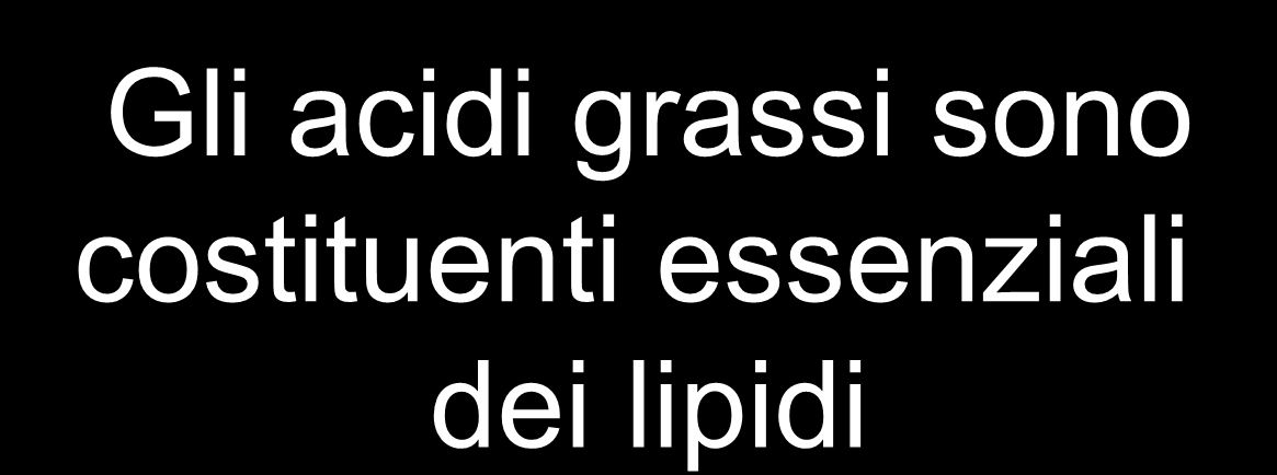 LIPIDI ACIDI GRASSI Gli acidi grassi sono