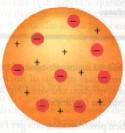 Le particelle alfa sono una forma di radiazione corpuscolare altamente ionizzante e con un basso potere di penetrazione dovuto all'elevata sezione d urto.