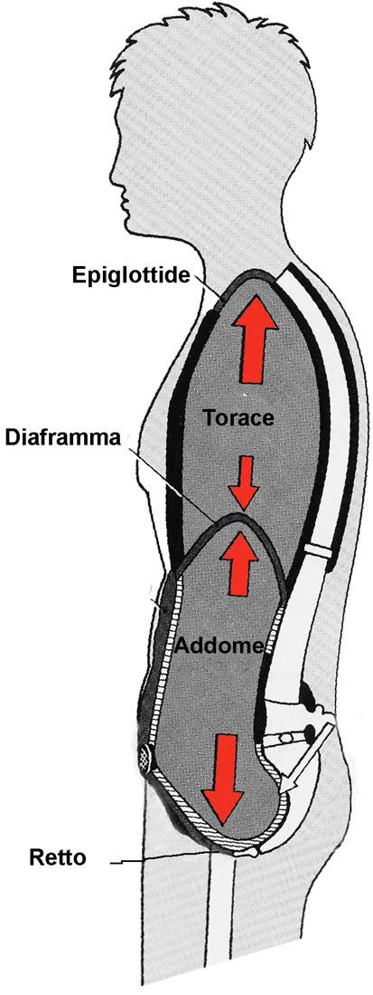 RESPIRAZIONE L azione di spinta va effettuata in apnea (trattenimento della respirazione), che si realizza chiudendo l epiglottide.