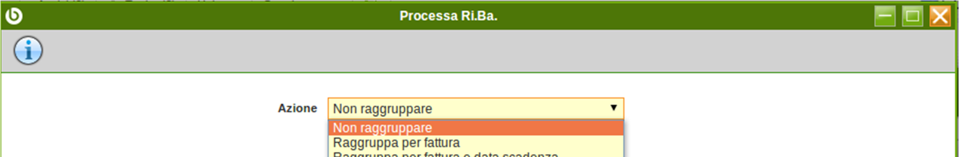 Figura 12: Visualizzazione dettaglio righe della RI.BA. Il successivo passo consiste nel cliccare sul bottone Elabora Pagamenti.