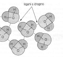 Doppi e tripli legami Alcuni elementi, data la loro particolare struttura elettronica, sono in grado di fare doppi o tripli legami.