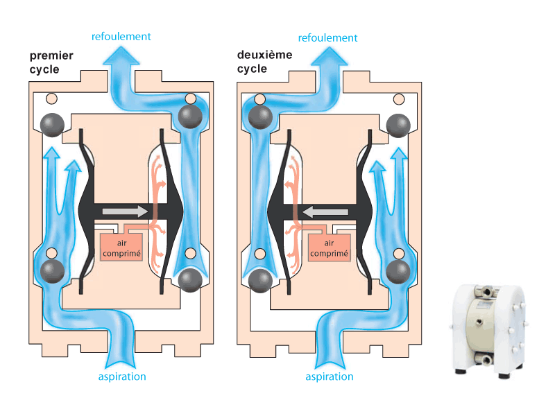 APPARECCHIATURE PER IL VUOTO Pompa a membrana per il vuoto La pompa a membrana, detta anche a diaframma, è un tipo di pompa a vuoto in cui la variazione di volume è data dall'oscillazione di una