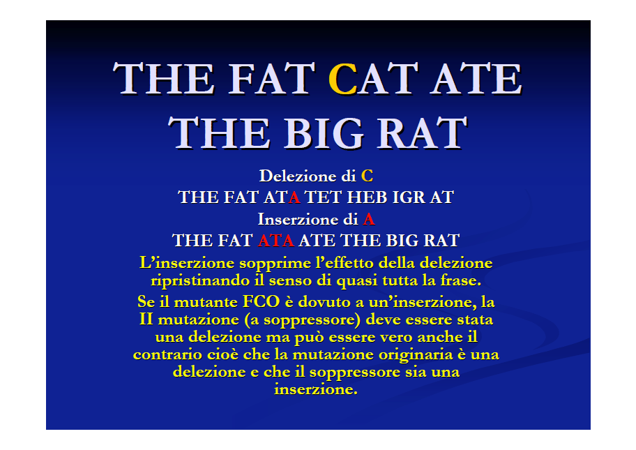 Il codice genetico è «senza virgole» Se si toglie un nucleotide, la sequenza cambia da quel