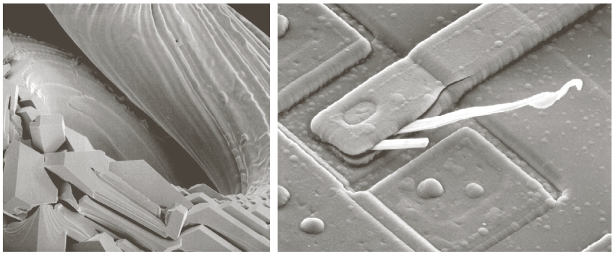 Immgini d fsci elettronici I fsci di elettroni vengono usti in due tecniche microscopiche: trnsmission electron microscopy (TEM), dove l frzione del fscio che riesce d ttrversre l oggetto viene