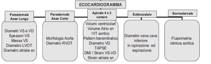 Check-list per la valutazione ecocardiografica nello sportivo (secondo SIEC 2011): A D Andrea et al- L