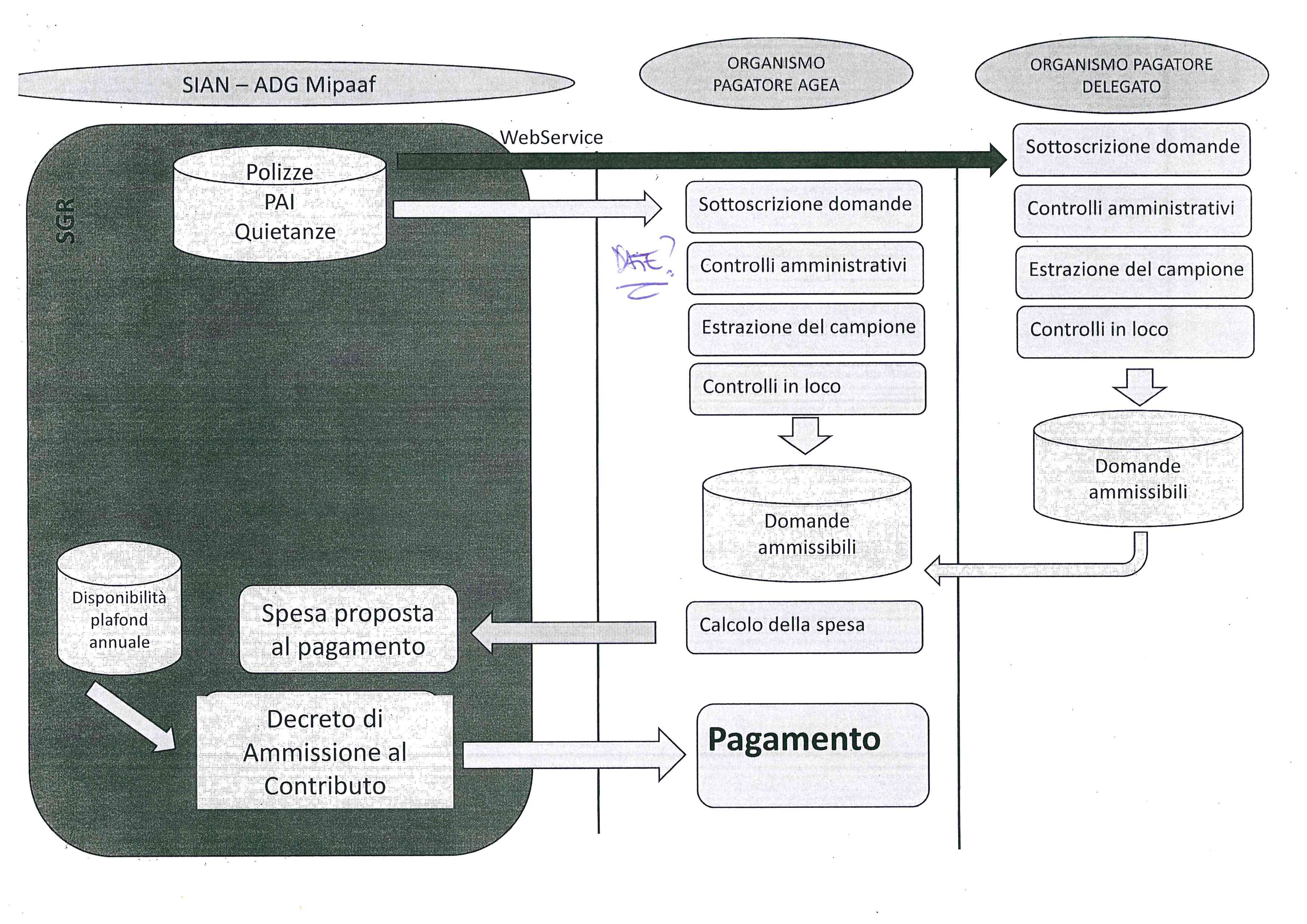 Flusso attivita Nuovo Sistema di