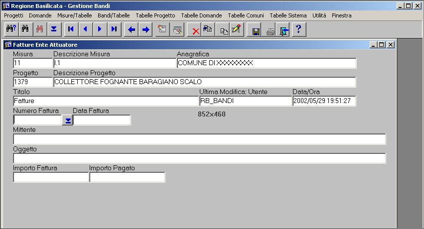 3.1.1 Digitazione Fatture In Figura 4-3 è raffigurata la scheda per poter immettere le fatture interessate.