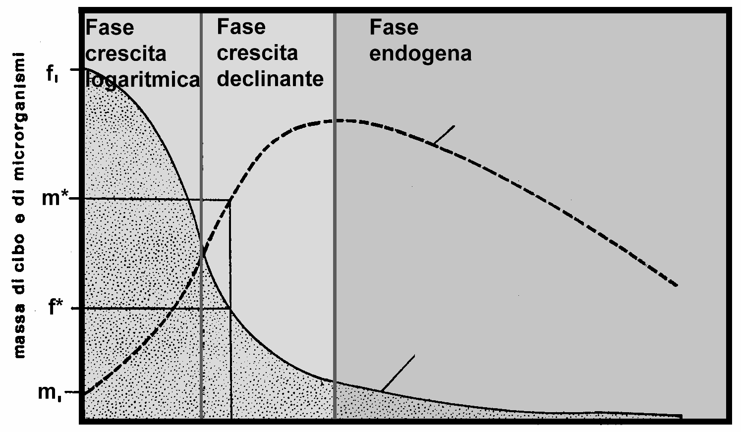 La crescita dei batteri varia a seconda del tempo di aerazione. Questa dipendenza è illustrata in fig. 2.1. Fig. 2.1: andamento della crescita batterica in funzione del tempo di aerazione.