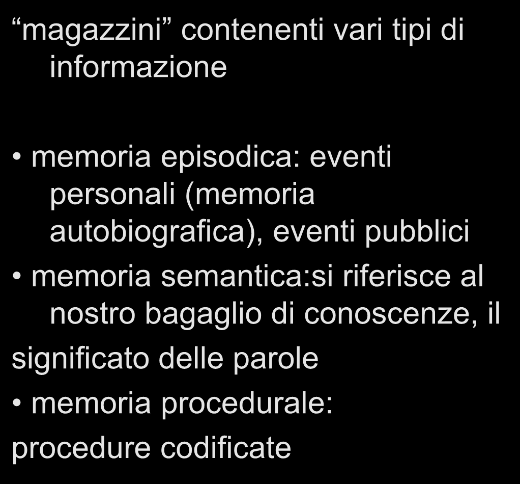 MEMORIA DI LUNGO TERMINE (MLT) magazzini contenenti vari tipi di informazione componenti dinamiche memoria episodica: eventi personali (memoria autobiografica), eventi pubblici memoria semantica:si