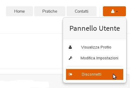 4.3.3 Disconnessione Qualora si desideri chiudere la sessione, basta cliccare sul tasto Disconnetti del Pannello Utente. In tal caso si ritorna all'home-page del portale. 5.