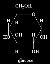 AMIDO L'amido è importante perchè noi lo mangiamo! L'amido su trova nelle patate, e nei cereali come il grano e il granturco. L'amido è costituito da unità ripetitive di glucosio.