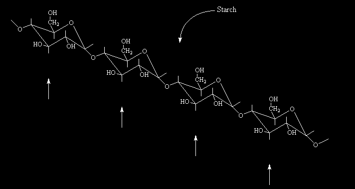 L amido e la cellulosa sono due polimeri molto simili. Infatti entrambi sono sintetizzati dallo stesso monomero, il glucosio, ed hanno le stesse unità ripetitive di base.