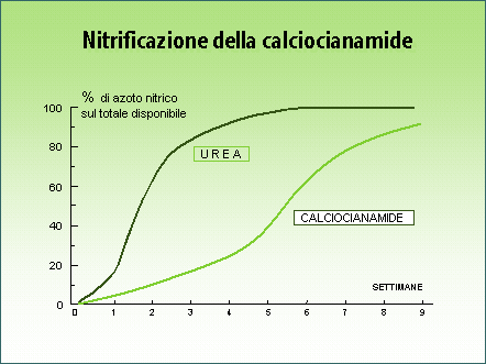 Si evidenzia che il dosaggio, praticato nella tesi A (10 ql/ha) in agro di Battipaglia, è risultato quello più efficace nella riduzione dell accumulo dei nitrati nella rucola coltivata in serra,