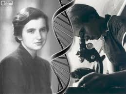 La doppia elica del DNA Scoperta da Watson e Crick (con contributi di Wilkins e Franklin).