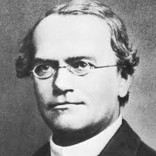 Johann Gergor Mendel (1822-1884) Mendel nacque in Moravia, in quella che oggi è la Repubblica Ceca.