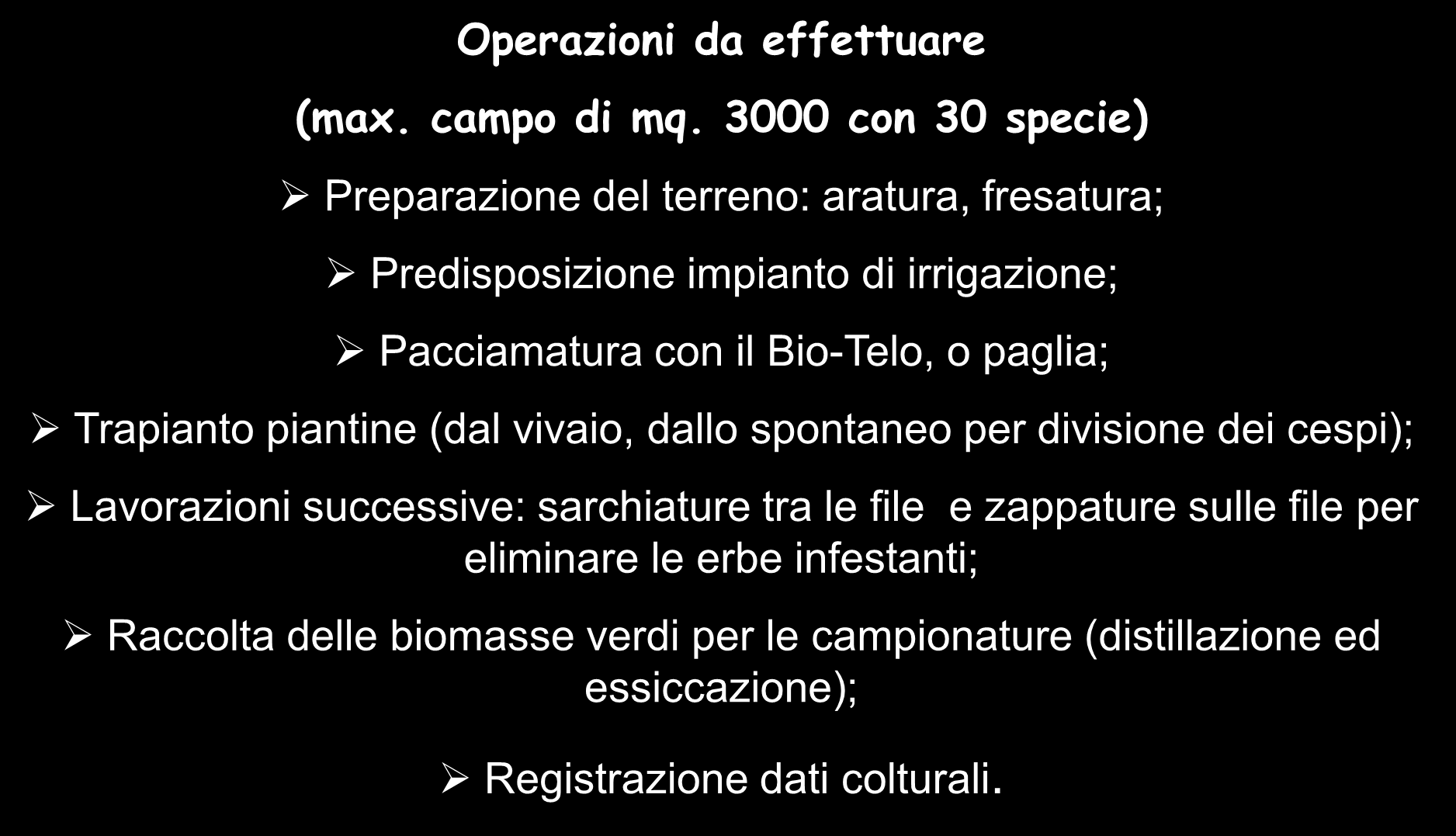 Campo dimostrativo piante aromatiche ed officinali per prove di campionatura per il mercato Operazioni da effettuare (max. campo di mq.