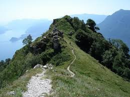 LA PISTA Ogni anno il lupetto raggiunge una