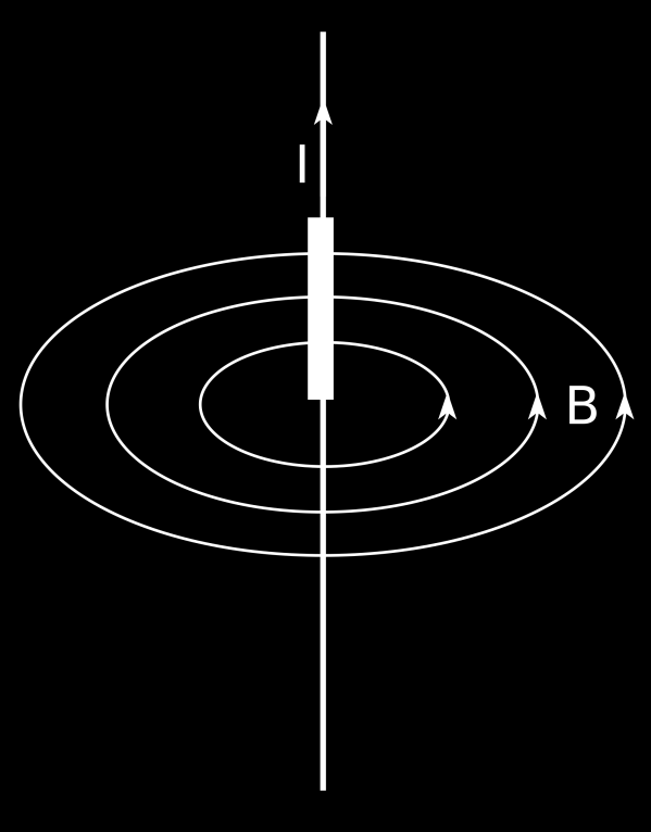 Linee del campo magnetico di un filo percorso da corrente elettrica Le linee del campo magnetico prodotto da un filo rettilineo percorso la