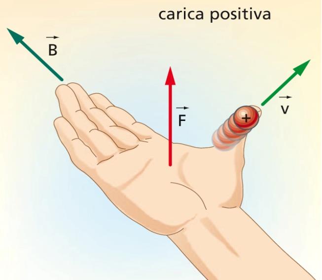 La forza di Lorentz Una carica elettrica q che si uove in un capo agnetico viene deviata dalle forze agnetiche.