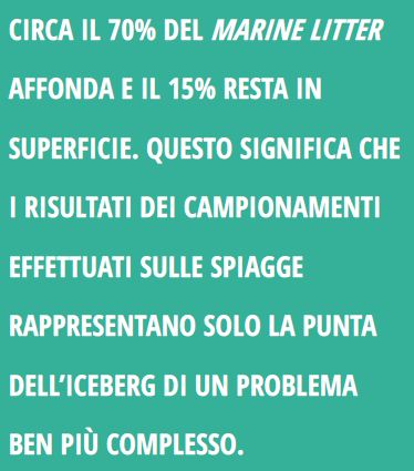 L indagine BEACH LITTER è stata realizzata da Legambiente nell ambito della campagna Spiagge e Fondali puliti Clean-up the Med 2015.