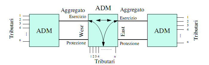 Add and Drop Multiplex (ADM) L ADM inserisce e preleva i tributari da un flusso aggregato.