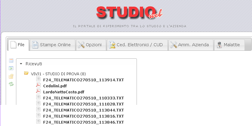 Cliccando ad esempio in cedolini.pdf sulla parte destra verranno indicate le informazioni file 3.2.