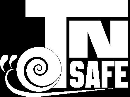 TN SAFE TN SAFE è il prodotto software sviluppato per offrire una soluzione completa alla gestione degli onerosi adempimenti di legge previsti dal D.Lgs. 81/08.