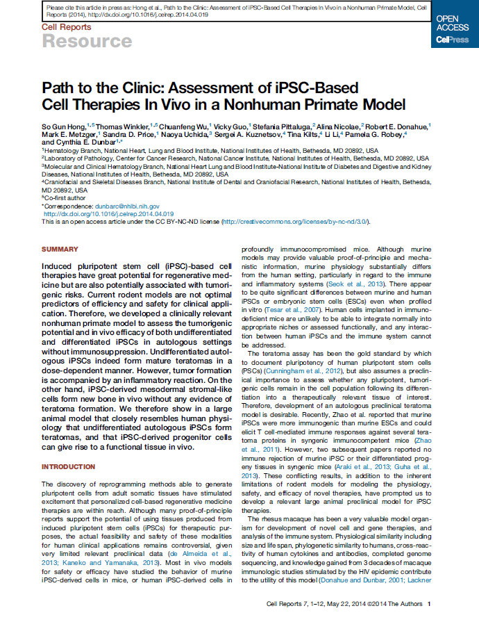 Mag 2014 Le terapie basate su cellule staminali pluripotenti indotte (ipsc) hanno un grande potenziale per la medicina rigenerativa, ma sono anche potenzialmente associate a rischi di cancerogenicità.