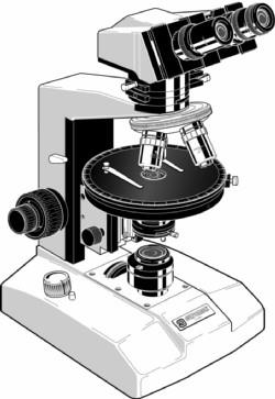 Microscopio ottico polarizzatore Analizzatore Oculare Stativo Lente di Amici Bertrand Piatto o