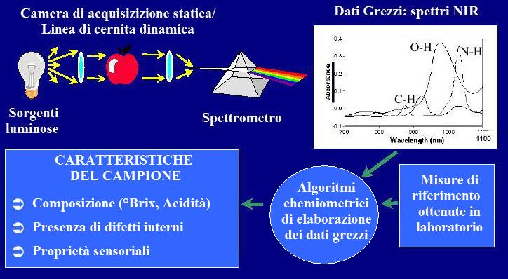 La spettroscopia Vis/NIR: come funziona?