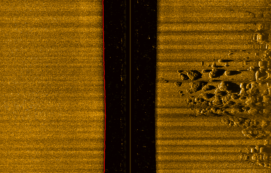 Fig.2 Fondale prevalentemente sabbioso con ripples marks dal quale emerge un affioramento roccioso ubicato