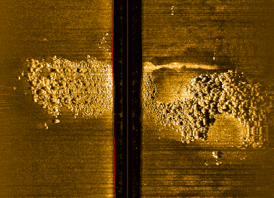 Fig. 4 Fondale sabbioso con affioramento roccioso ubicato tra 14 e 21 metri di