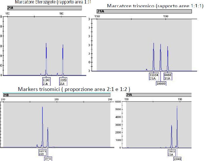 Qf-pcr: