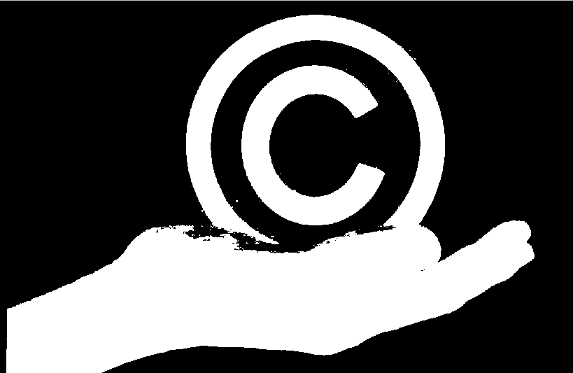 I software, per la maggior parte protetti da diritto d autore, vanno comperati, o meglio, se ne deve acquistare
