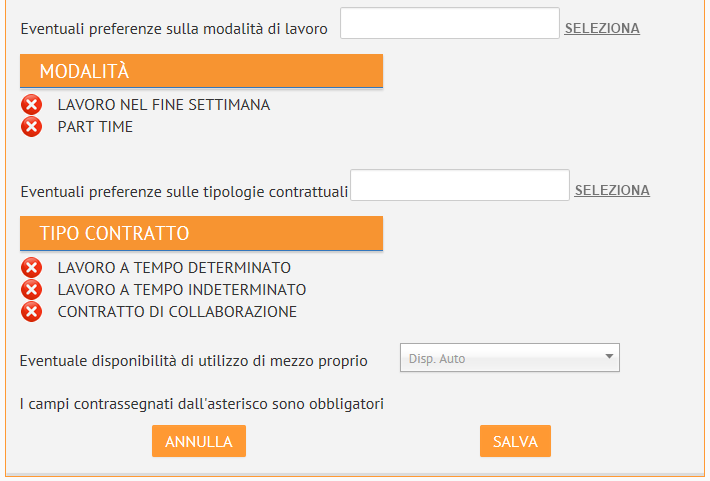 Le informazioni aggiuntive sulla professione desiderata e le indicazioni relative ad