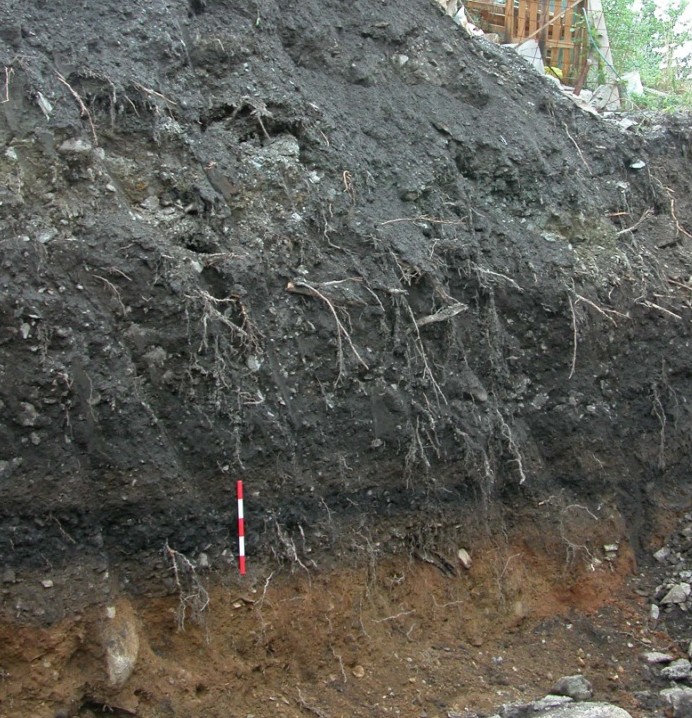 Particolare di una sezione dello scavo del 2003 con in evidenza i livelli neri