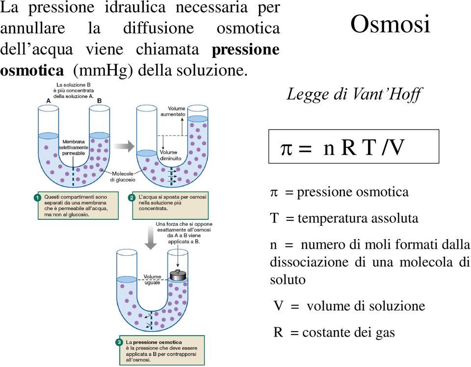 Osmosi Legge di Vant Hoff = n R T /V = pressione osmotica T = temperatura assoluta n