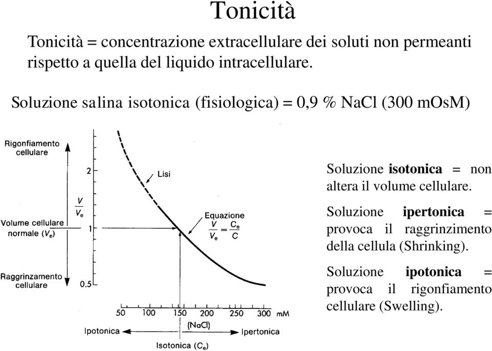 Soluzione salina isotonica (fisiologica) = 0,9 % NaCl (300 mosm) Soluzione isotonica = non