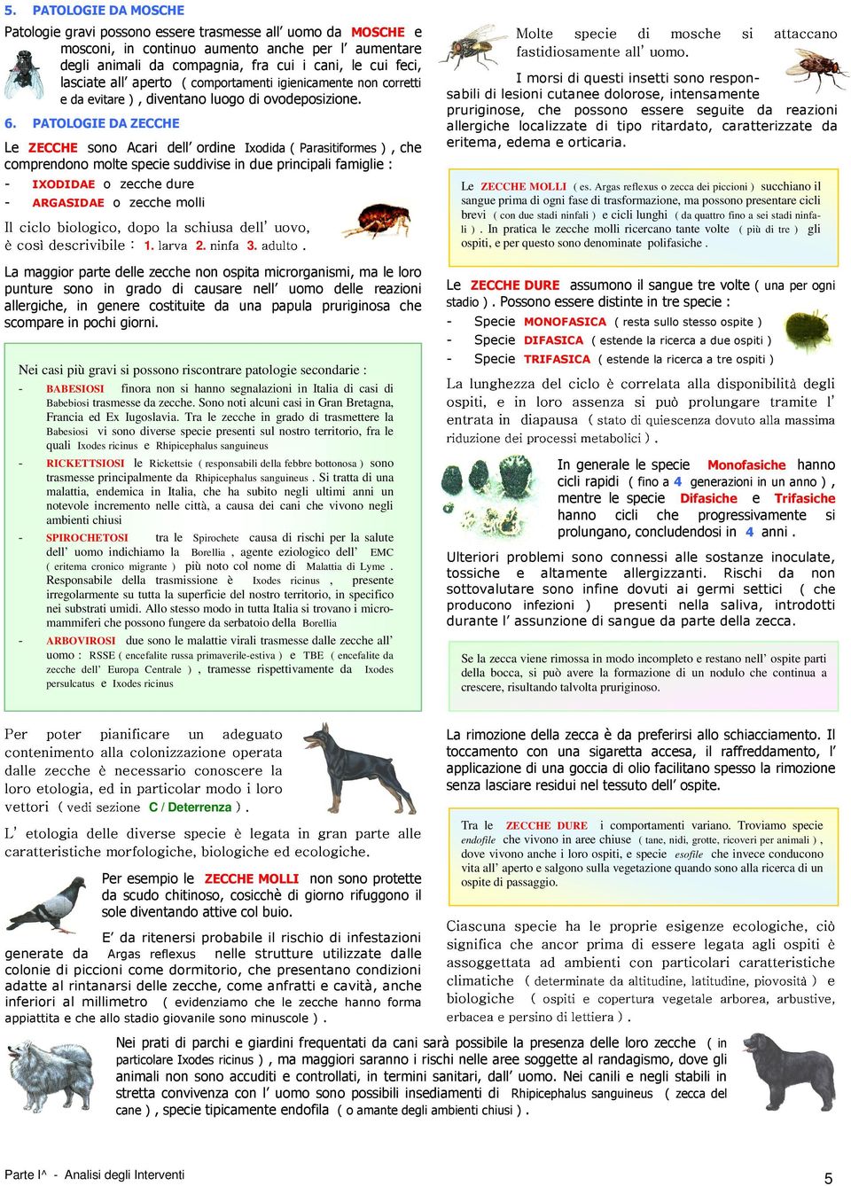 6. PATOLOGIE DA ZECCHE Le ZECCHE sono Acari dell ordine Ixodida ( Parasitiformes ), che comprendono molte specie suddivise in due principali famiglie : - IXODIDAE o zecche dure - ARGASIDAE o zecche