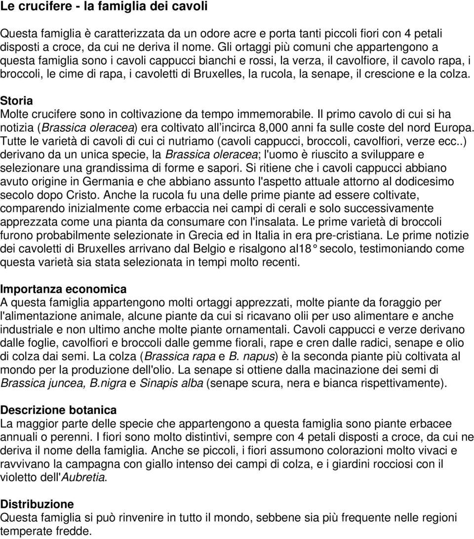 rucola, la senape, il crescione e la colza. Molte crucifere sono in coltivazione da tempo immemorabile.