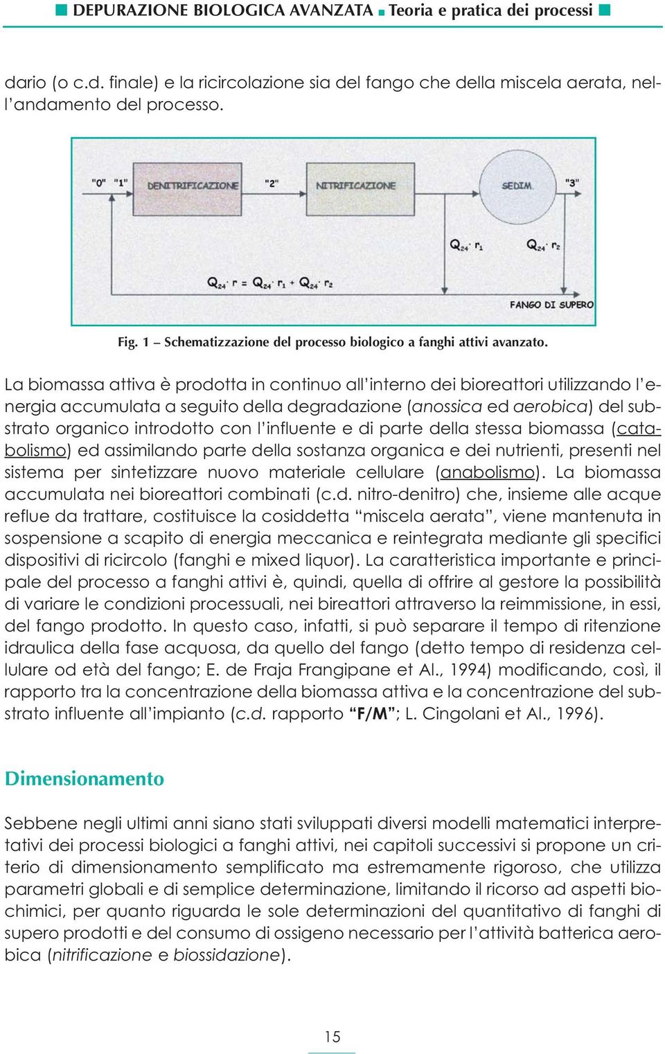 La biomassa attiva è prodotta in continuo all interno dei bioreattori utilizzando l energia accumulata a seguito della degradazione (anossica ed aerobica) del substrato organico introdotto con l