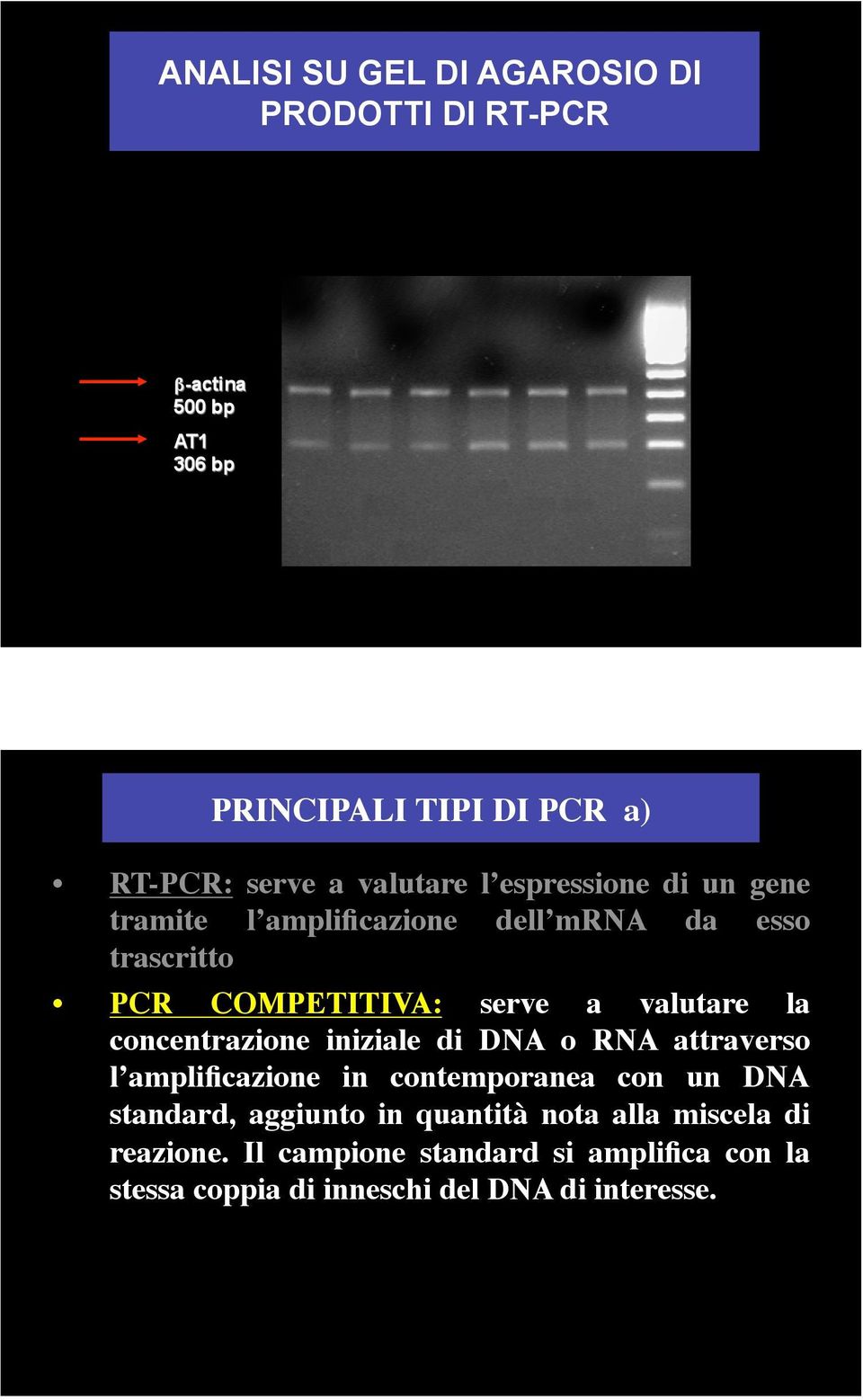 concentrazione iniziale di DNA o RNA attraverso l amplificazione in contemporanea con un DNA standard, aggiunto in