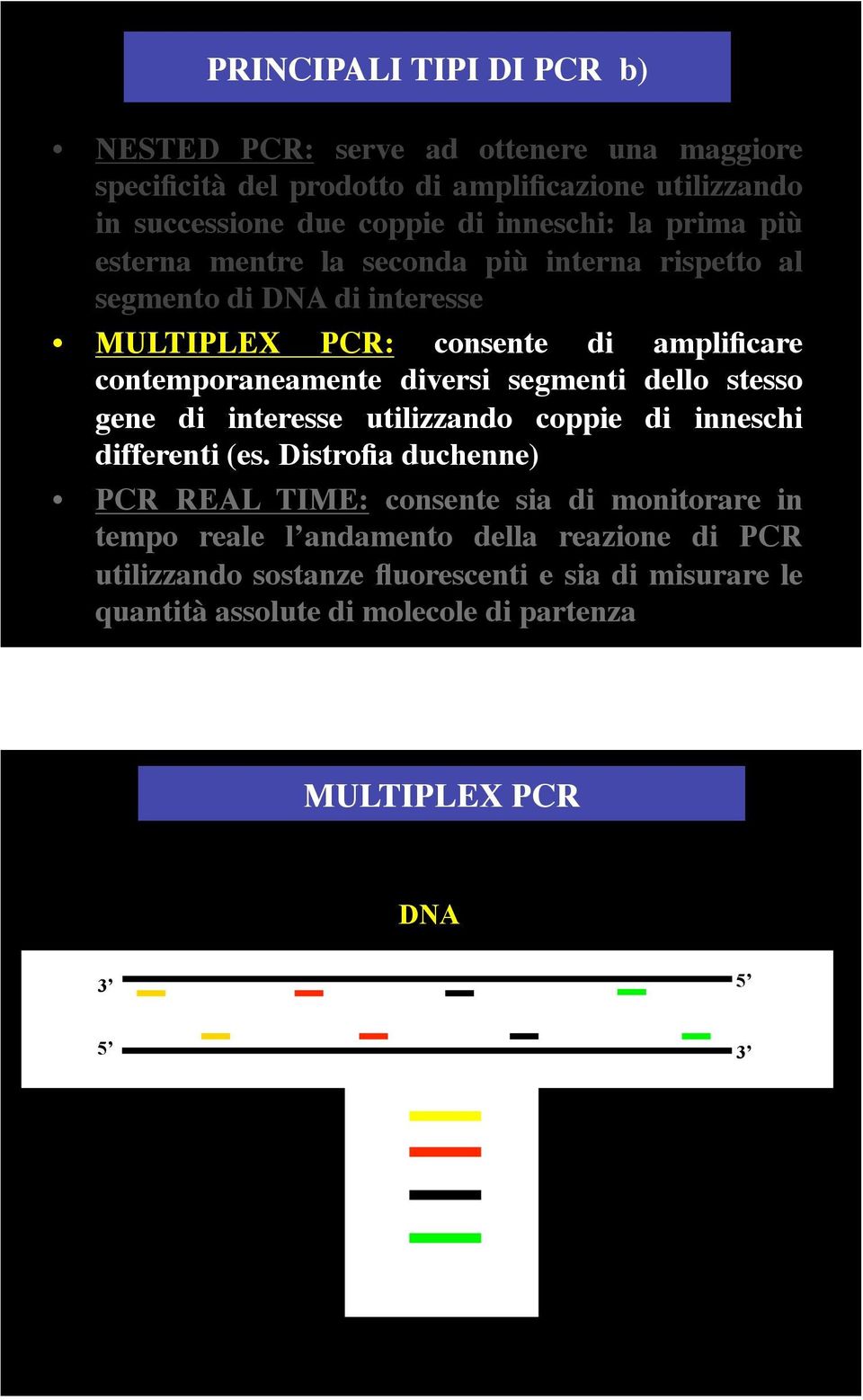 contemporaneamente diversi segmenti dello stesso gene di interesse utilizzando coppie di inneschi differenti (es.