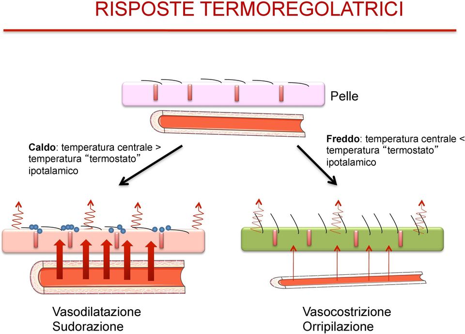 temperatura centrale < temperatura termostato