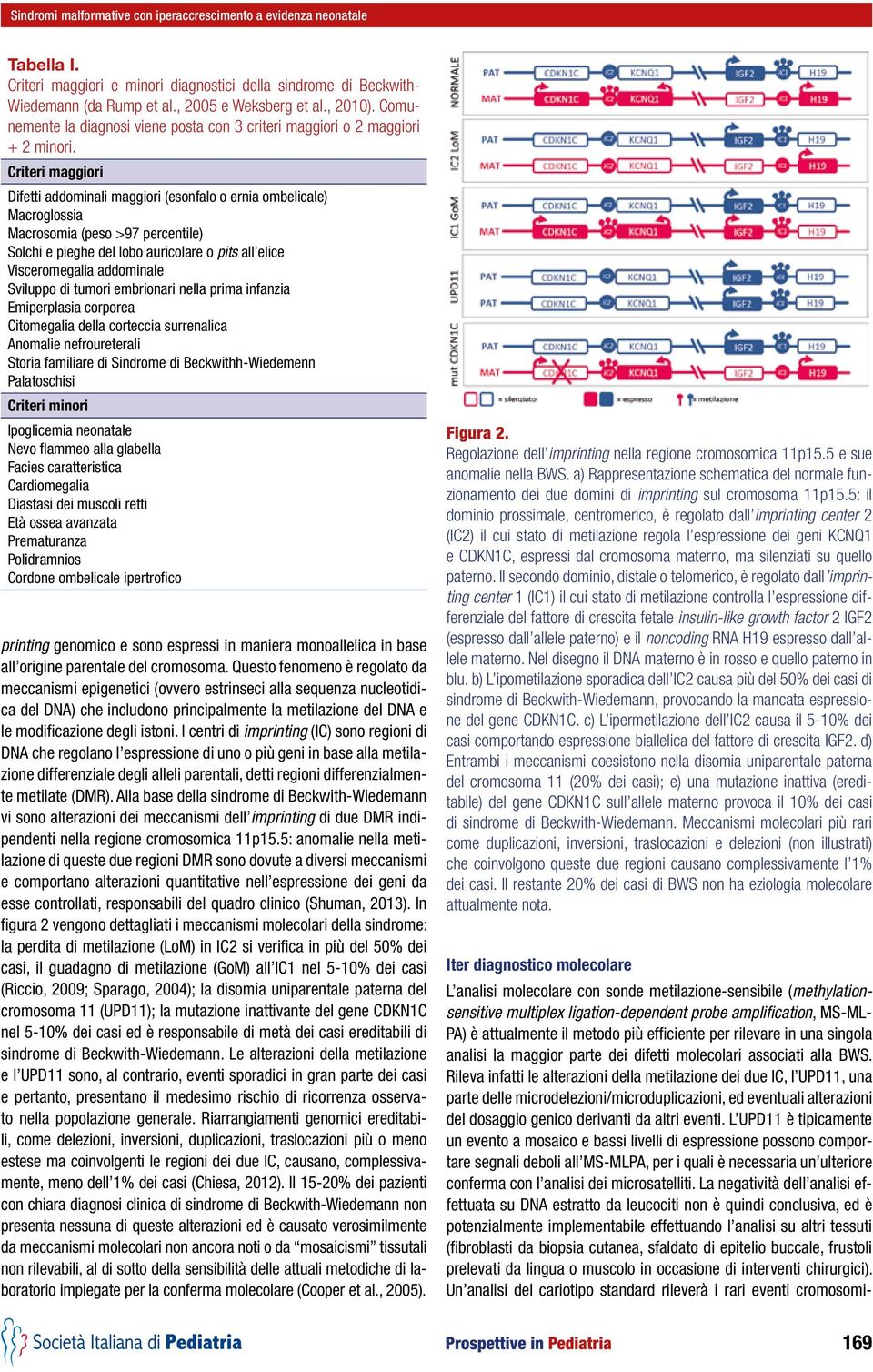 Criteri maggiori Difetti addominali maggiori (esonfalo o ernia ombelicale) Macroglossia Macrosomia (peso >97 percentile) Solchi e pieghe del lobo auricolare o pits all elice Visceromegalia addominale