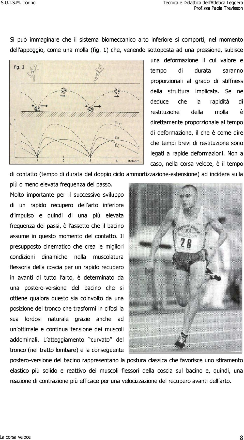 Se ne deduce che la rapidità di restituzione della molla è direttamente proporzionale al tempo di deformazione, il che è come dire che tempi brevi di restituzione sono legati a rapide deformazioni.