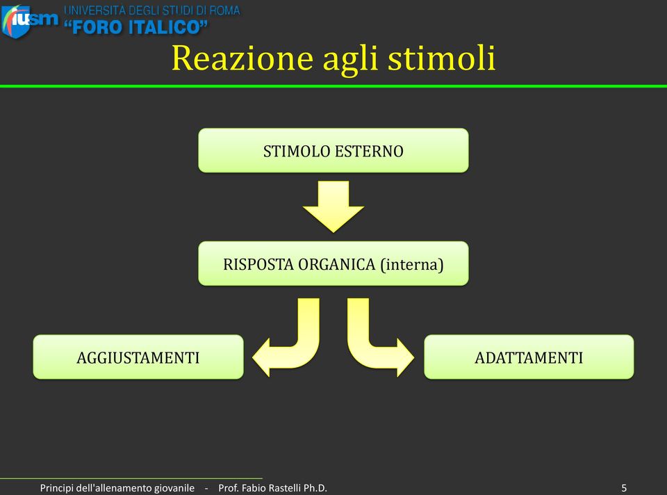 AGGIUSTAMENTI ADATTAMENTI Principi