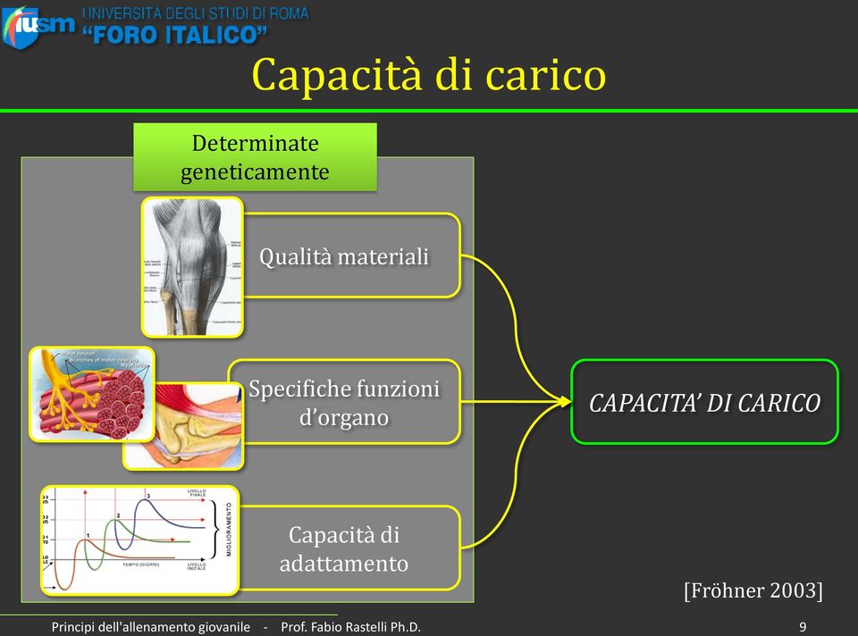 CARICO Capacità di adattamento [Fröhner 2003]