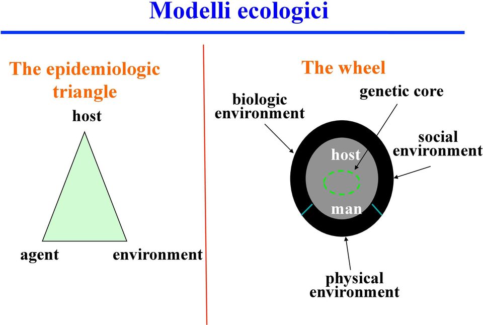 wheel host genetic core social