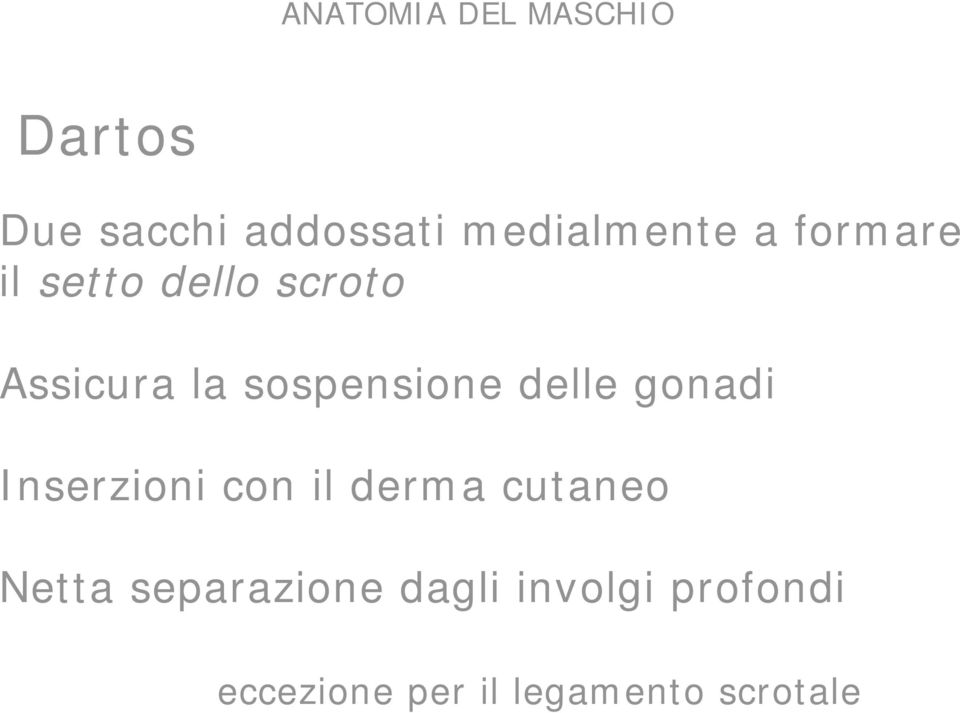 gonadi Inserzioni con il derma cutaneo Netta